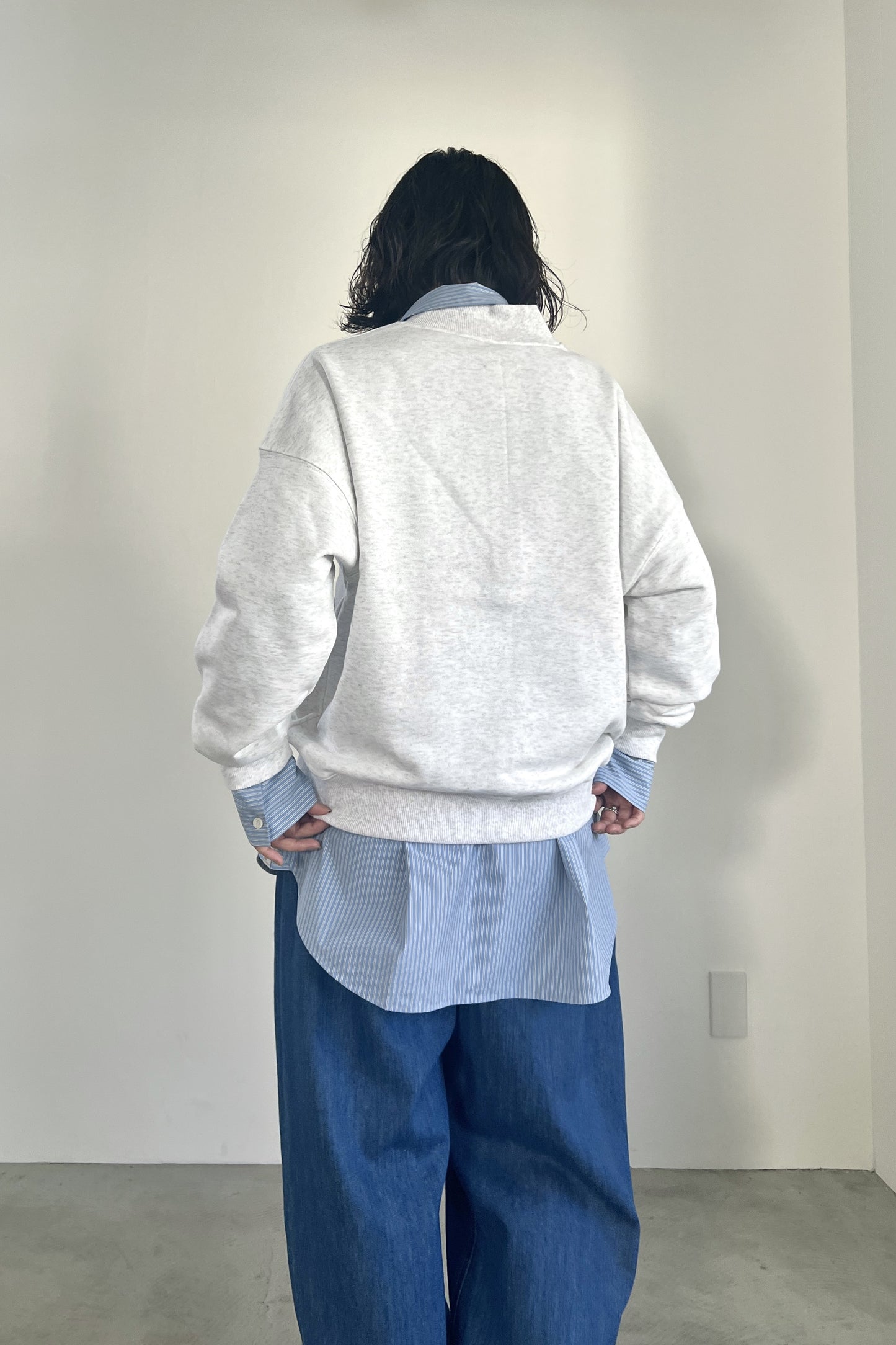 ハーフジップロゴスウェットPO　F3301